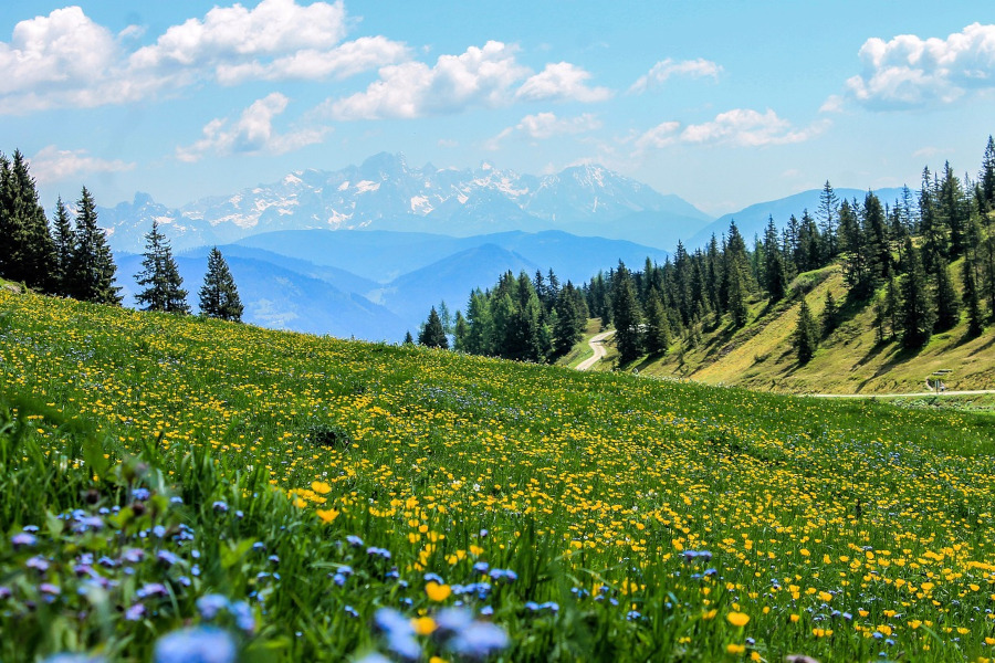 Auvergne-Rhône-Alpes