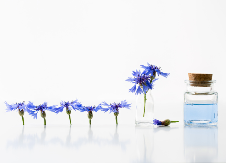 Qu'est-ce que l'eau florale de bleuet ?