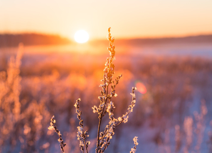 Quels sont les actifs à privilégier en hiver ?